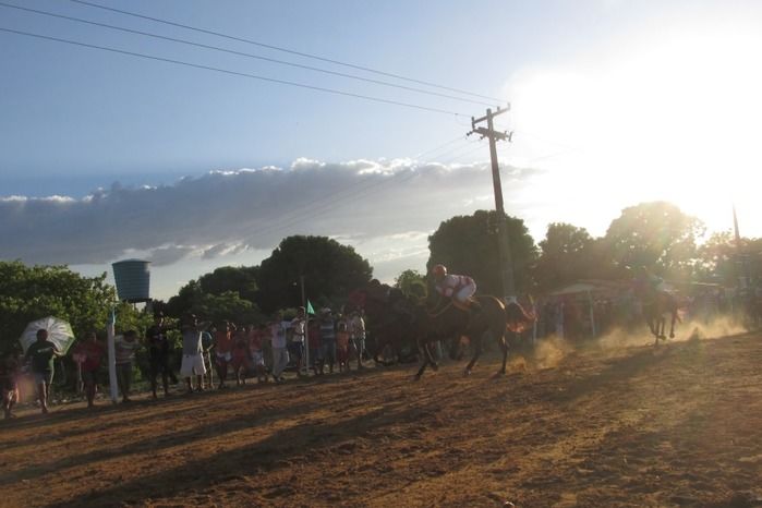 Confira a maior corrida de cavalos da História de Agricolândia  - Imagem 11