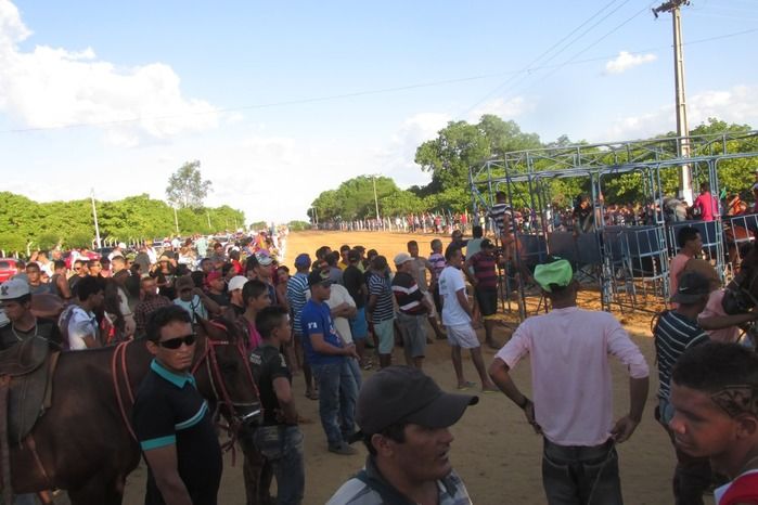 Confira a maior corrida de cavalos da História de Agricolândia  - Imagem 3