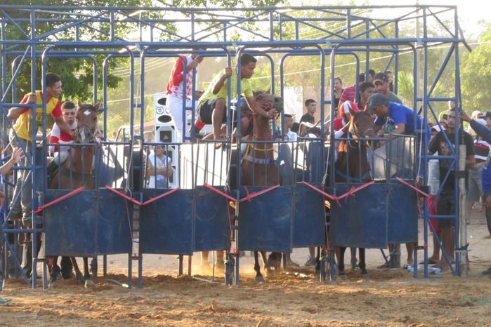 Confira a maior corrida de cavalos da História de Agricolândia  - Imagem 20