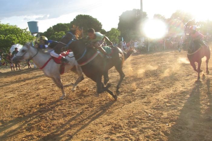 Confira a maior corrida de cavalos da História de Agricolândia  - Imagem 6