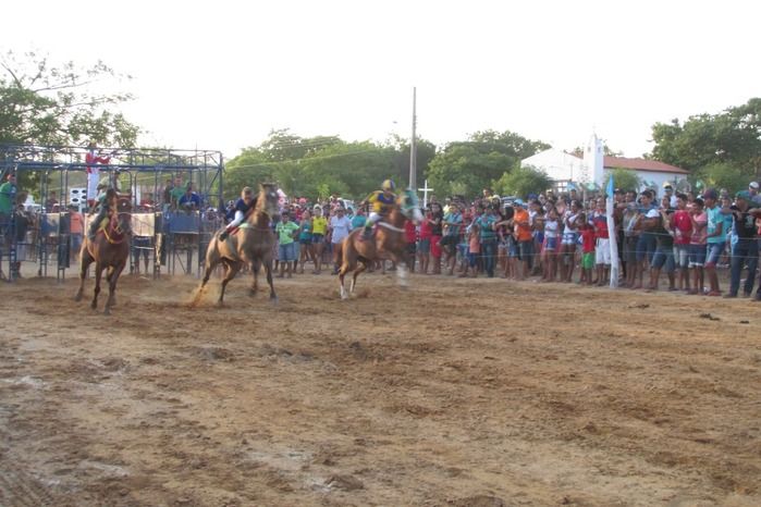 Confira a maior corrida de cavalos da História de Agricolândia  - Imagem 22