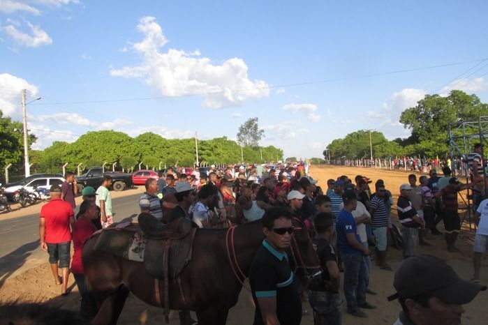 Confira a maior corrida de cavalos da História de Agricolândia  - Imagem 4