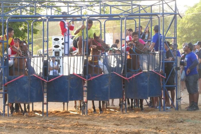 Confira a maior corrida de cavalos da História de Agricolândia  - Imagem 19