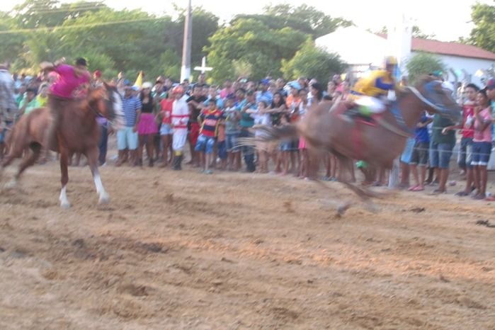 Confira a maior corrida de cavalos da História de Agricolândia  - Imagem 23
