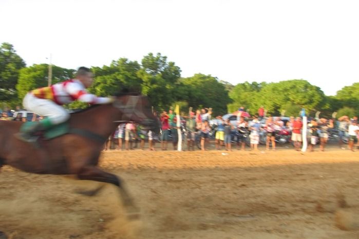 Confira a maior corrida de cavalos da História de Agricolândia  - Imagem 21