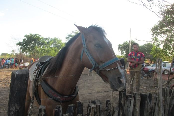 Confira como foi a tradicional Corrida de Cavalos de Lagoa Seca  - Imagem 12