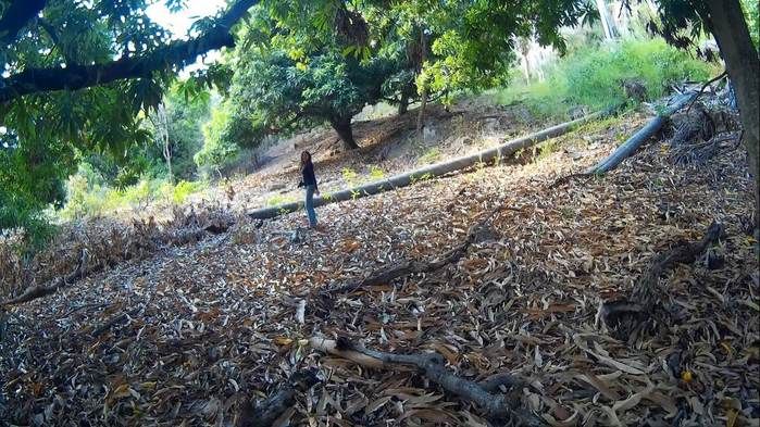 Vem ai!!! Contos e Lendas do Piauí! Verdade ou Ficção? - Imagem 33