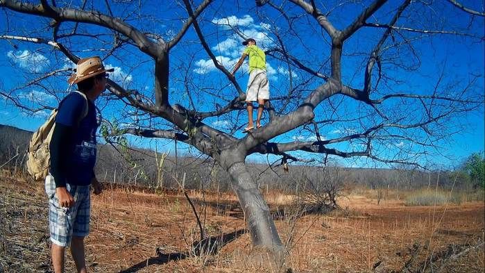 Vem ai!!! Contos e Lendas do Piauí! Verdade ou Ficção? - Imagem 35