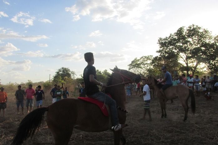 Confira como foi a tradicional Corrida de Cavalos de Lagoa Seca  - Imagem 33
