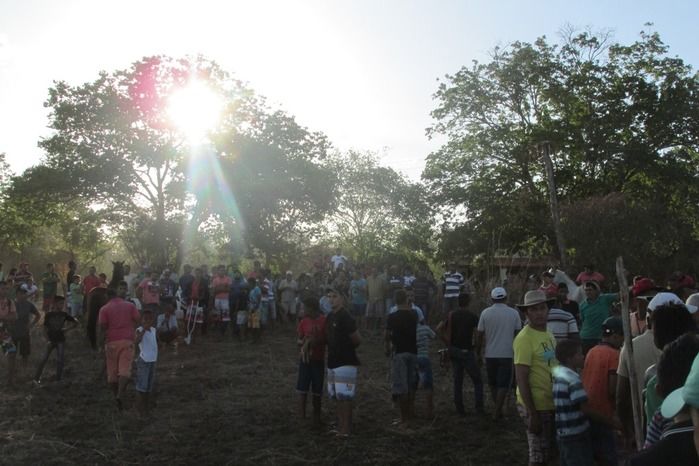 Confira como foi a tradicional Corrida de Cavalos de Lagoa Seca  - Imagem 28