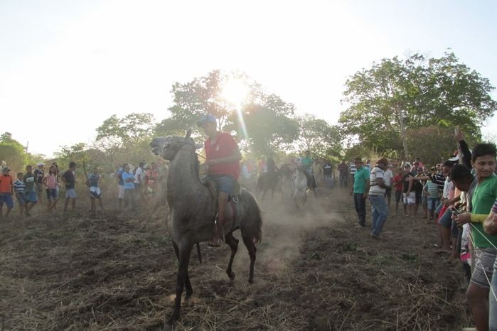 Confira como foi a tradicional Corrida de Cavalos de Lagoa Seca  - Imagem 23