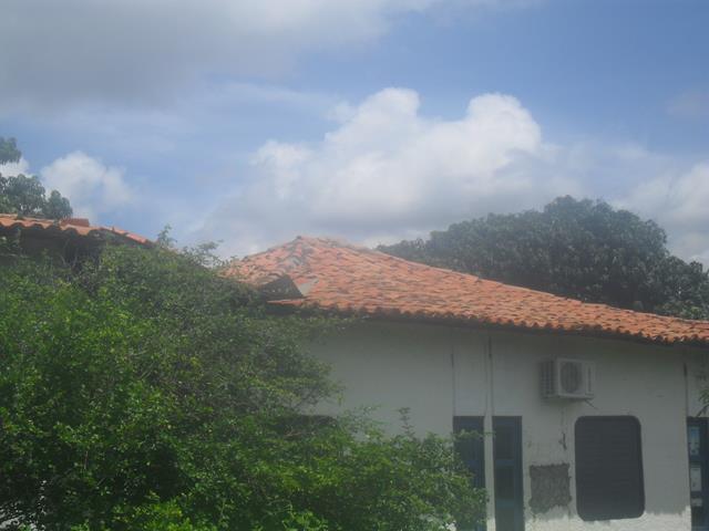 Servidores do Emater e Adapi estão correndo risco de vida  - Imagem 11