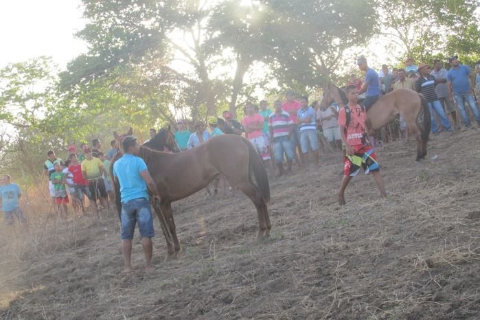 Confira como foi a tradicional Corrida de Cavalos de Lagoa Seca  - Imagem 29