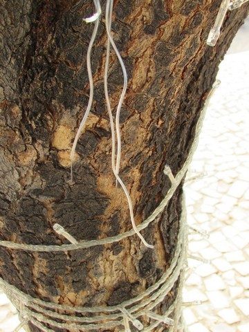 Ornamentação Natalina de Ipiranga do Piauí Está Sendo Vandalizada - Imagem 8