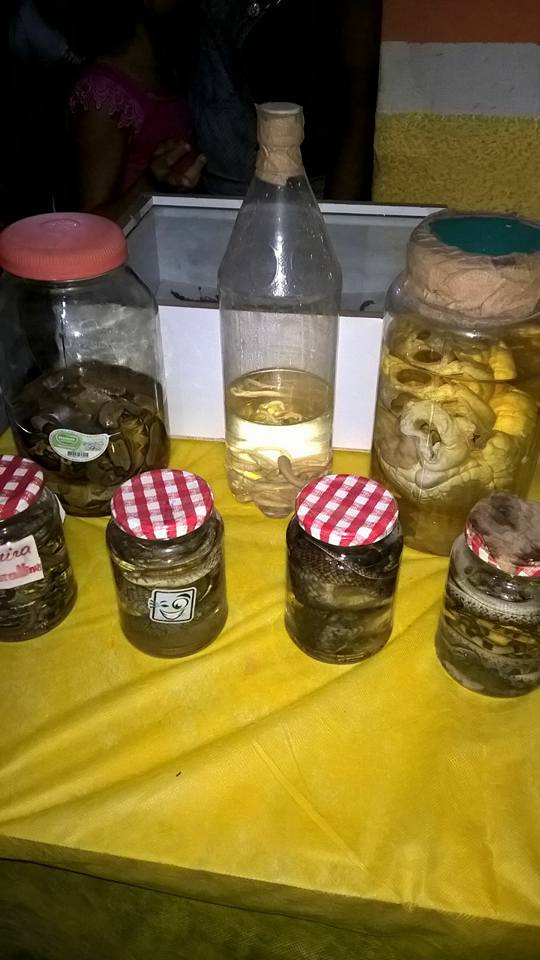 CULTURA: SEMANA CULTURAL DA ESCOLA CECÍLIA COELHO DE RESENDE É ENCERRADA EM GRANDE ESTILO EM BOA HORA - Imagem 4