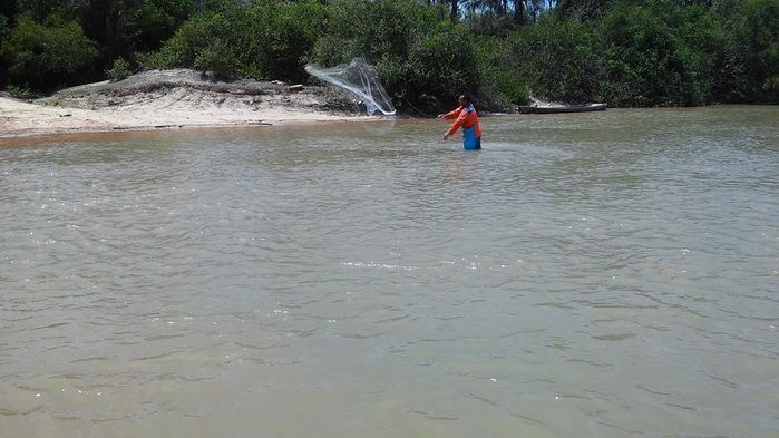 Rio Longá recebe as primeiras águas do ano - Imagem 10