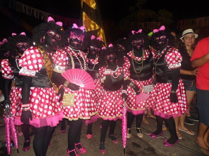 Bloco Os Gatões arrasta quase 25 mil pessoas para avenida - Imagem 26