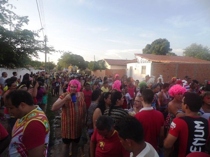 Bloco Os Gatões arrasta quase 25 mil pessoas para avenida - Imagem 5