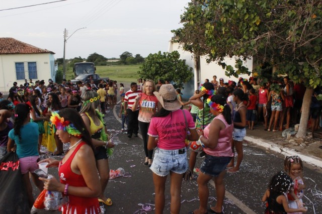 Blocos de rua animam segundo dia de carnaval em Miguel Alves - Imagem 1