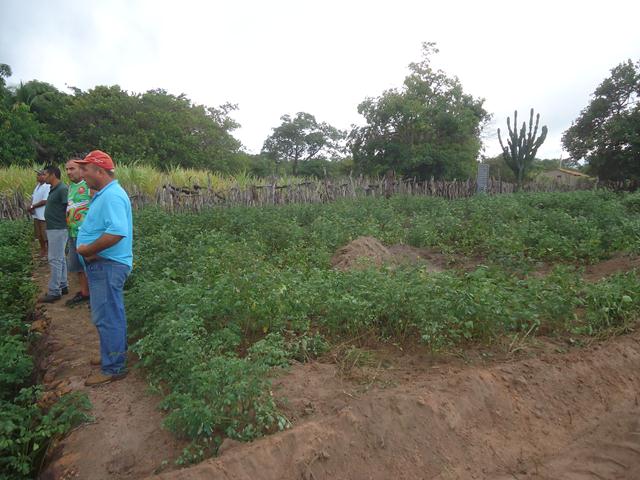 Prefeitura começa a recuperação do Reservatório Ponta D´água - Imagem 7
