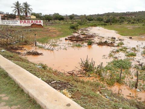 Chuva abençoada em Itainópolis - Imagem 2
