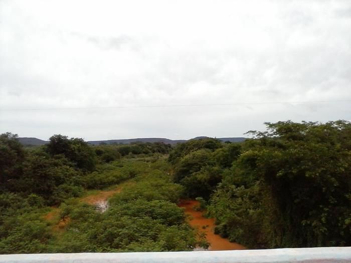 Chuva abençoada em Itainópolis - Imagem 1