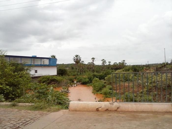 Chuva abençoada em Itainópolis - Imagem 3