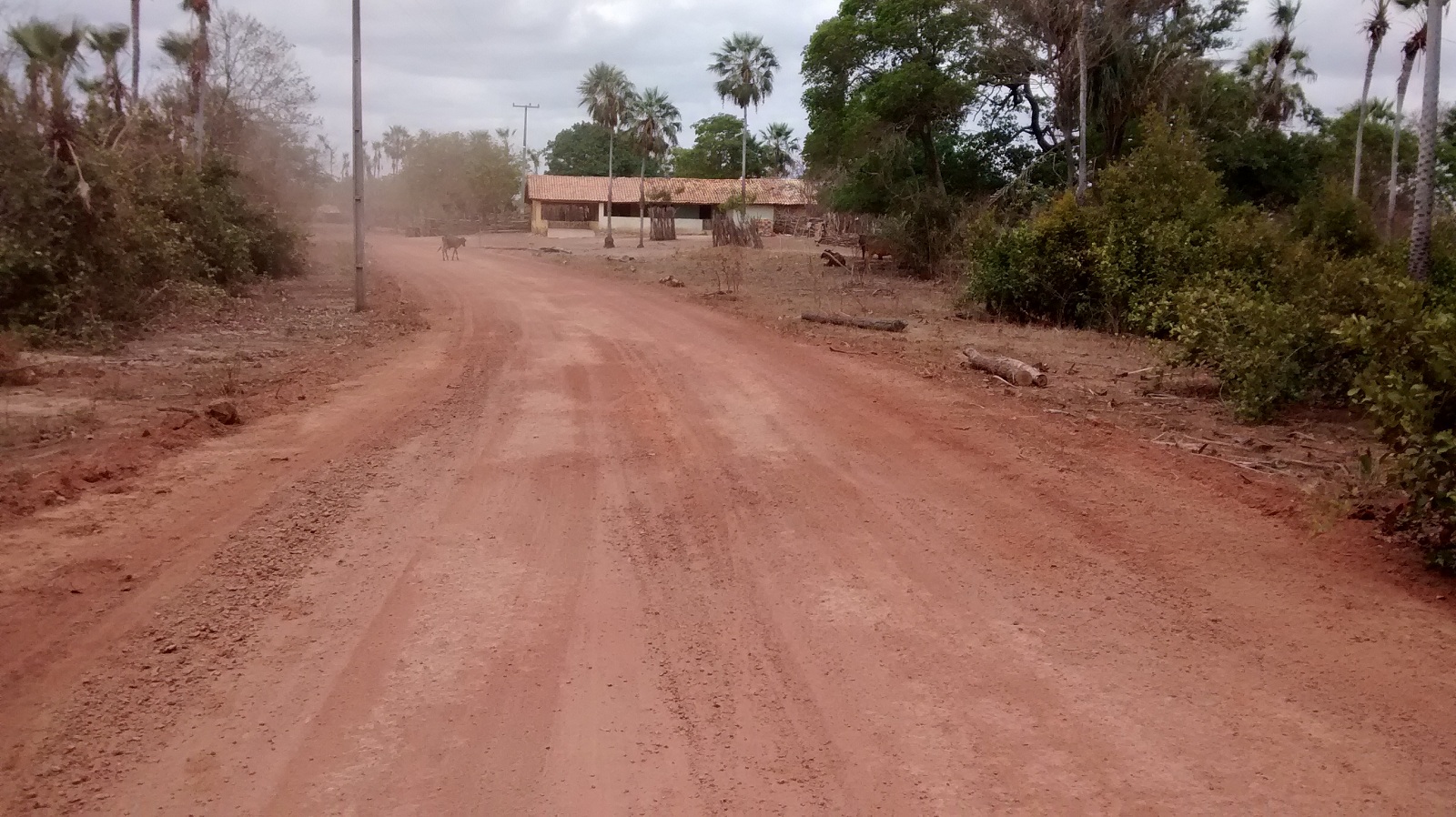 Prefeitura investe em melhorias de estradas vicinais em Buriti dos Lopes