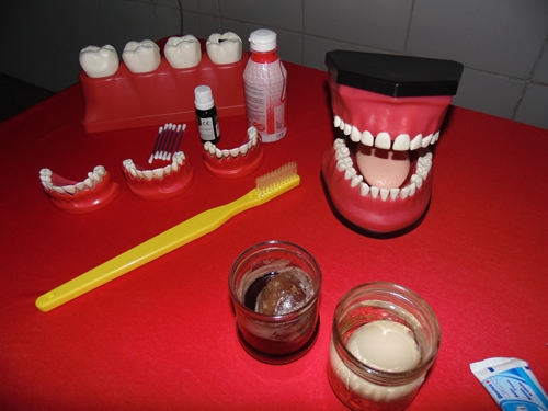 PORTO: Equipes do PSE realizam oficinas e palestras durante Semana Pedagógica - Imagem 34