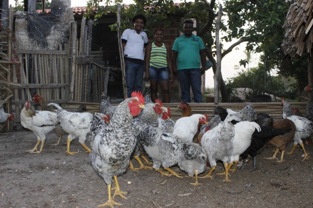 Projeto Mais Caipirão vai beneficiar 2 mil famílias em Miguel Alves - Imagem 10