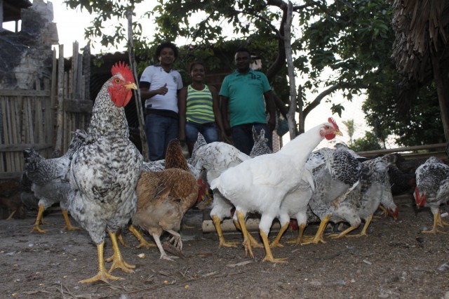 Projeto Mais Caipirão vai beneficiar 2 mil famílias em Miguel Alves - Imagem 11