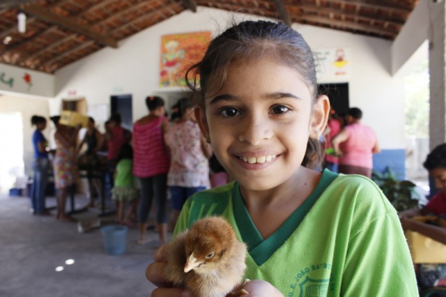 Projeto Mais Caipirão vai beneficiar 2 mil famílias em Miguel Alves - Imagem 6