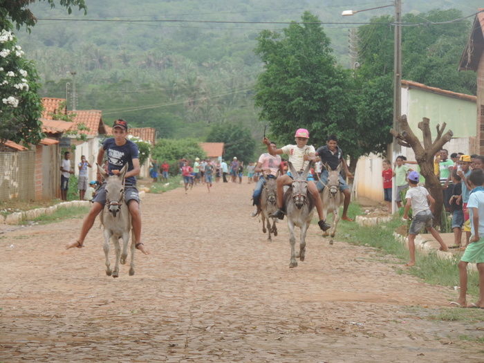 Corrida de Jegue atraia população durante aniversário de Barra D'Alcântara - Imagem 8