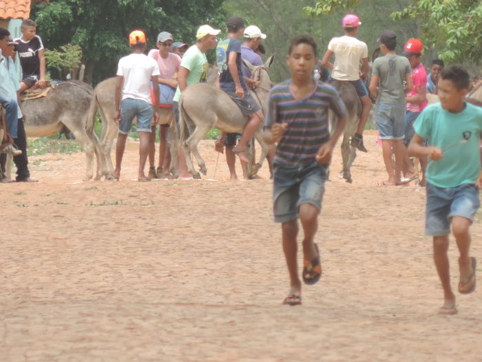 Corrida de Jegue atraia população durante aniversário de Barra D'Alcântara - Imagem 7