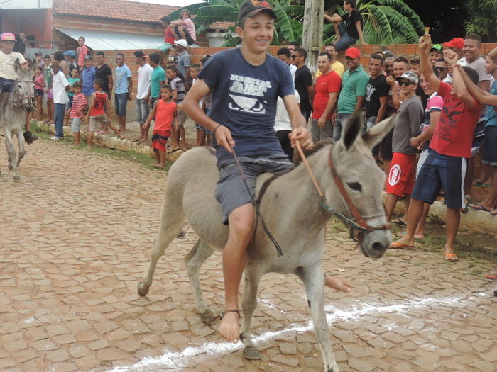Corrida de Jegue atraia população durante aniversário de Barra D'Alcântara - Imagem 9