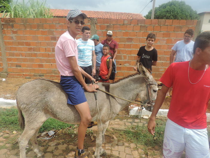 Corrida de Jegue atraia população durante aniversário de Barra D'Alcântara - Imagem 4