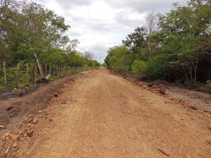 Prefeitura conclui estrada do assentamento Salobro - Imagem 1
