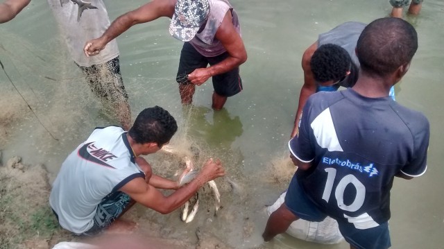 Prefeitura de Miguel Alves doa 1 tonelada de peixes a famílias carentes - Imagem 4