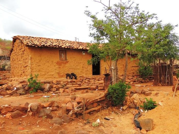 Água potável chega às famílias da comunidade Rodrigo - Imagem 4