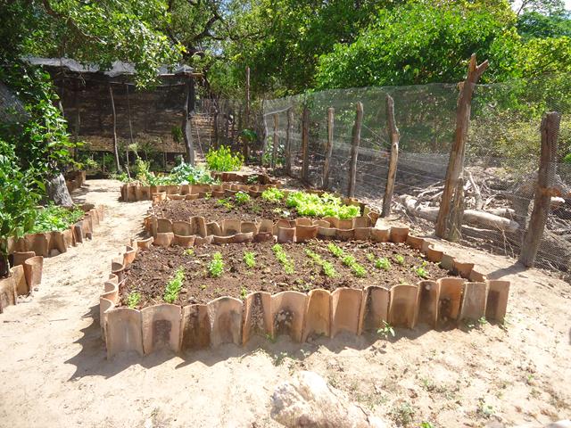 Programa Cisternas nas Escolas faz escola Liberato Vieira ser referência no Nordeste - Imagem 10