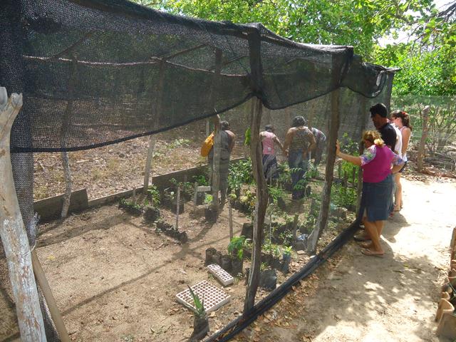Programa Cisternas nas Escolas faz escola Liberato Vieira ser referência no Nordeste - Imagem 16