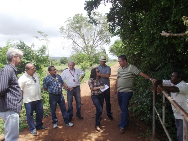 Projeto de pesquisa pretende tornar região de Santa Rosa referência na produção e exportação de milho - Imagem 1