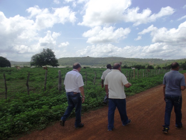 Projeto de pesquisa pretende tornar região de Santa Rosa referência na produção e exportação de milho - Imagem 2