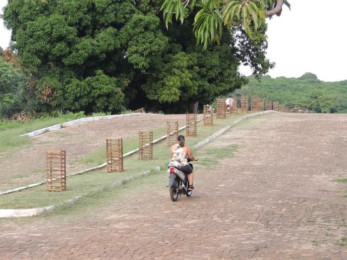 Prefeitura faz plantio de mudas na orla do açude municipal - Imagem 2
