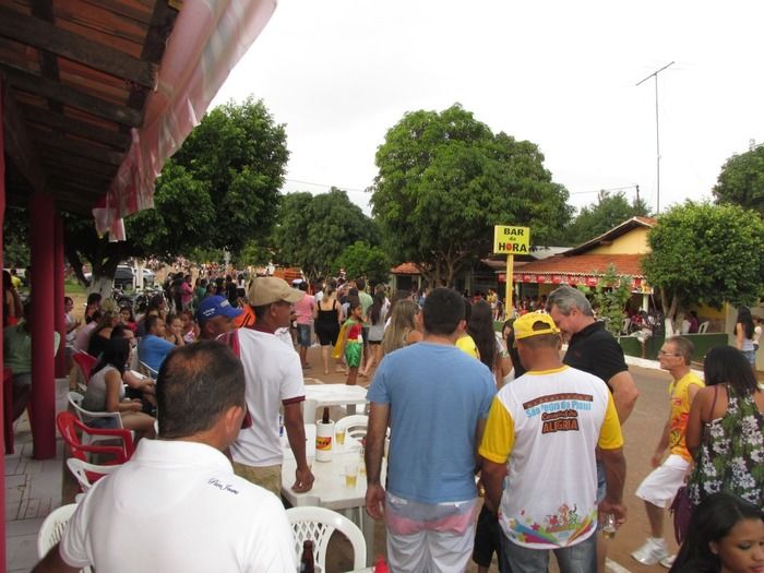 Zé Pereira 2015 em São Pedro do Piaui Foi Show de Animação com a Banda Selva Branca da Bahia - Imagem 17