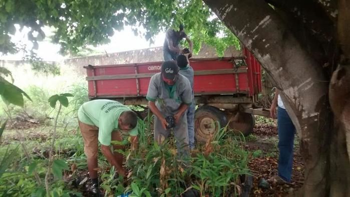 Prefeitura faz plantio de mudas na orla do açude municipal - Imagem 5