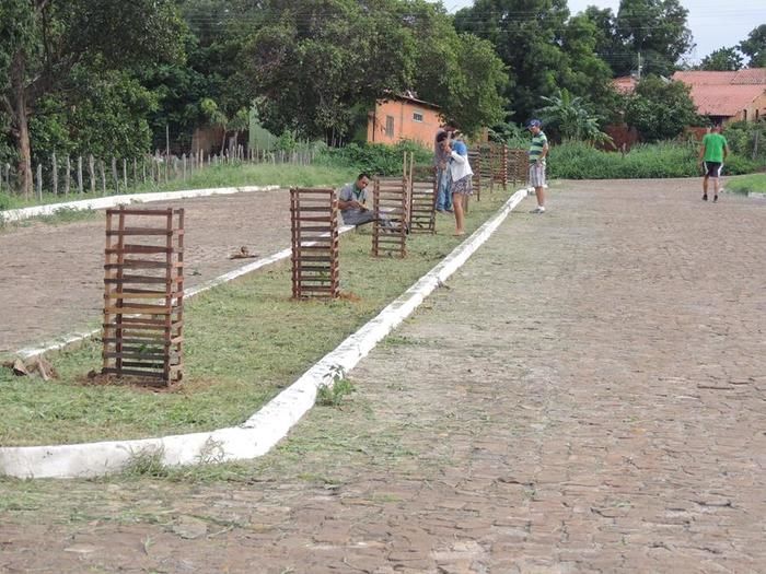 Prefeitura faz plantio de mudas na orla do açude municipal - Imagem 3