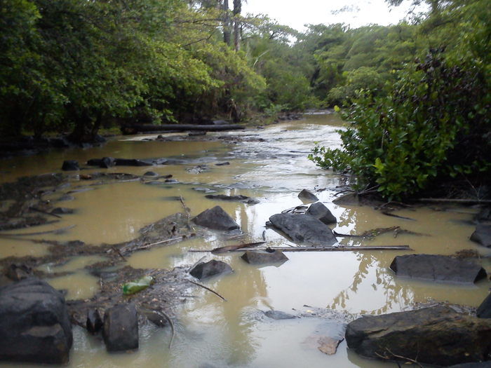 Agricultura Comprometida Pela Falta de Chuva - Imagem 6