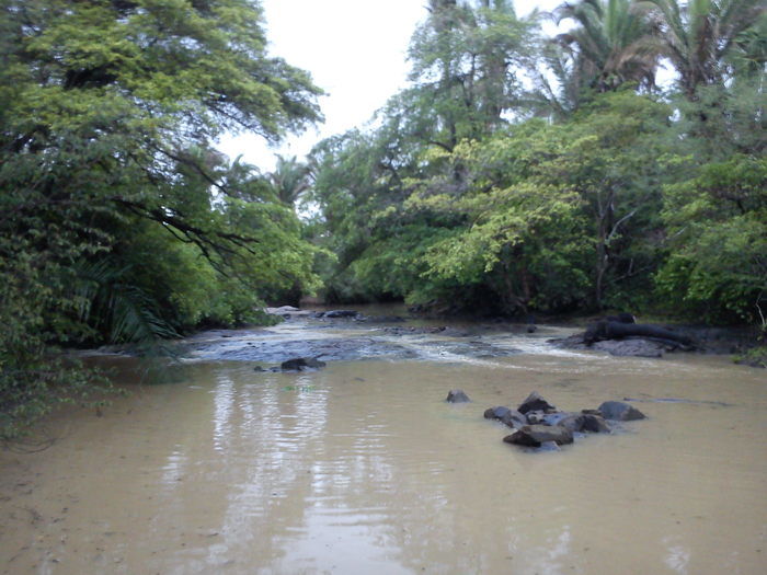 Agricultura Comprometida Pela Falta de Chuva - Imagem 7