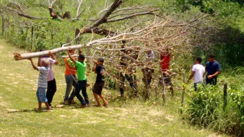 Moradores fazem protesto para dar visibilidade ao desaparecimento de rapaz em Palmeirais - Imagem 8